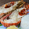 langouste