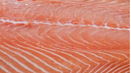 photo du produit:Dos 200/400 De Saumon X3