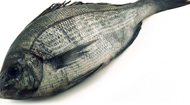 photo du produit:Dorade Grise 800+ X3